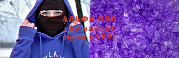трава Корсаков